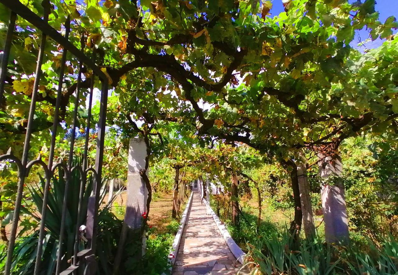 Вилла Morin Grey Casa En El Corazon De La Ribeira Sacra Монфорте-де-Лемос Экстерьер фото