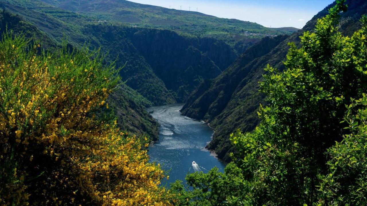 Вилла Morin Grey Casa En El Corazon De La Ribeira Sacra Монфорте-де-Лемос Экстерьер фото