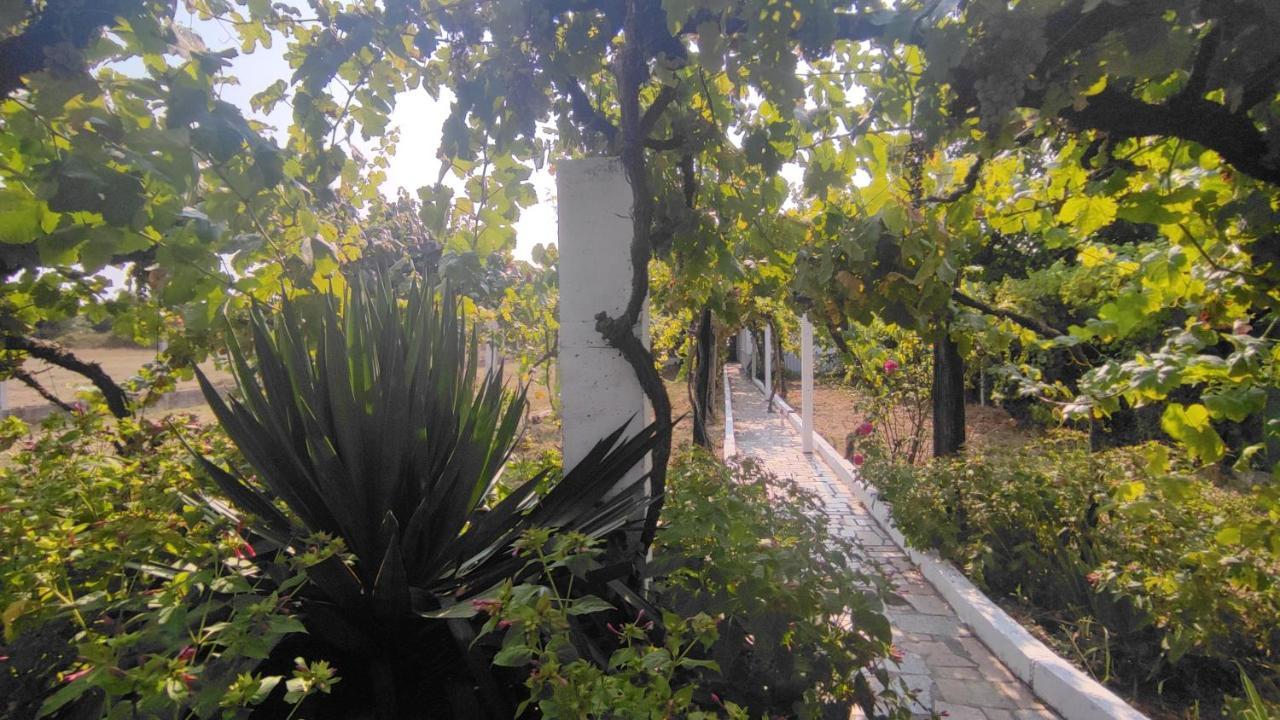 Вилла Morin Grey Casa En El Corazon De La Ribeira Sacra Монфорте-де-Лемос Экстерьер фото