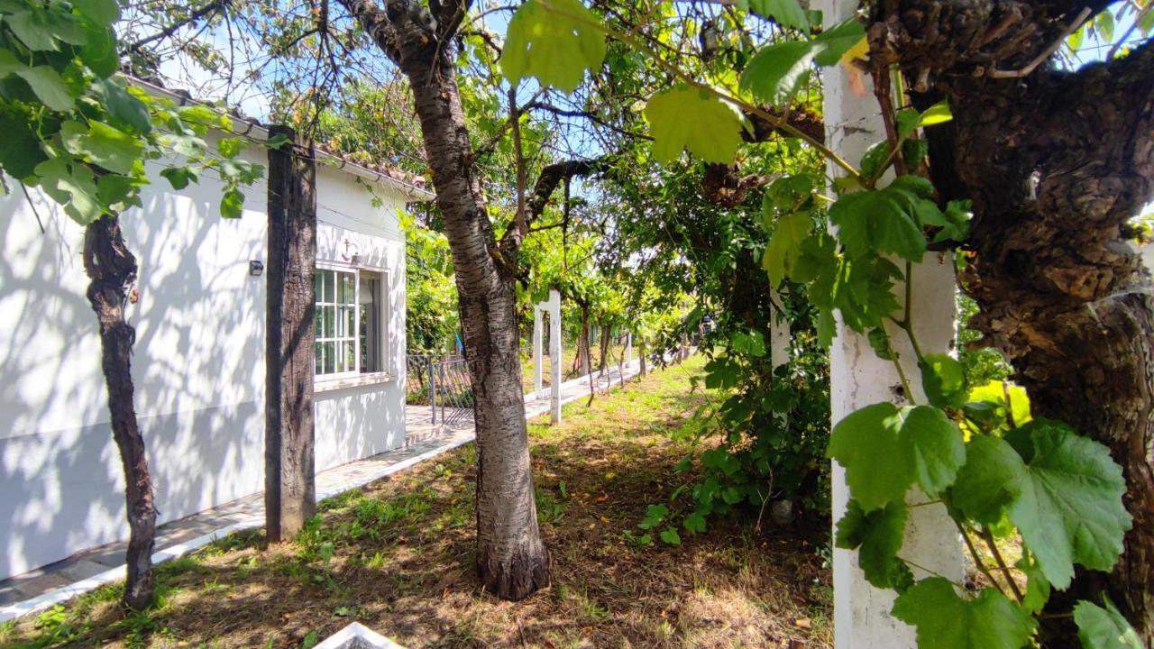 Вилла Morin Grey Casa En El Corazon De La Ribeira Sacra Монфорте-де-Лемос Экстерьер фото