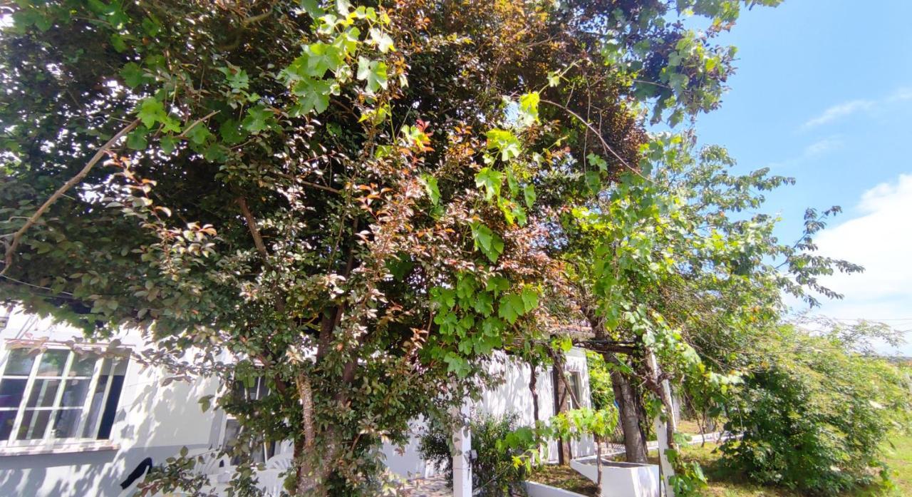 Вилла Morin Grey Casa En El Corazon De La Ribeira Sacra Монфорте-де-Лемос Экстерьер фото